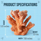 Resin Coral Sculpture, 7.1-Inch Coastal Home Decor - Image 3