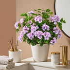 Artificial Geraniums for Outdoors, 8 Stems 17.7 Inch Purple Faux Geranium Bush Fake Flowers UV Resistant Fall Porch Patio Garden Planter Window Box Indoor Decor, Pot Not Included - Image 3