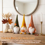 3PCS Fall Gnomes Plush, Thanksgiving Decorations for Tiered Tray - Image 2