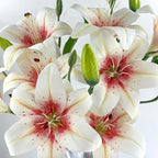 12 Artificial Lily Flowers with 9 Heads Full Bloom Lily & 3 Buds, Long Stem Artificial Stargazer Lilies, Faux Tiger Bouquets for Home Hotel Office Party Decor Table Centerpieces（White Pink - Image 2