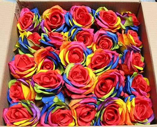Ooki 25 Handmade Artificial Silk Rainbow Rose Heads Bridesmaid Flower Bush Arrangement Home Decor Wedding Party Celebration Centerpiece DIY by Ooki