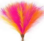 Serwalin 60PCS 17.7" Hot Pink＆Orange＆Yellow Pampas Grass Decor for Home by Serwalin