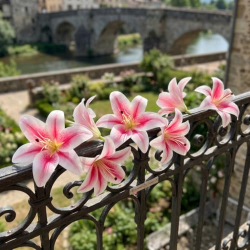 20PCS 6 Inch Large Artificial Lilies Flower Heads with Realistic Stamens, Bulk Silk Fake Lilies for DIY Crafts, Wedding Decor, Cake Decorating, Centerpieces, Home Decor (Light Pink) - Image 7