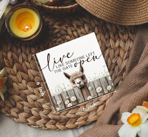 Alpaca Signs - Farm Cottagecore Animal Office Kitchen Bedroom Decor,Rustic Farmhouse Live like Someone Left the Gate Open Home Decor Signs,Alpaca Gifts for Women,6x6 - Image 4