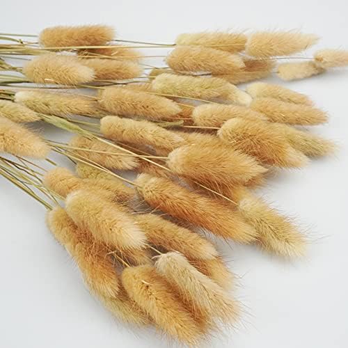 Uieke 17'' Natural Bunny Tails Dried Flowers, 120 Pcs Dried Lagurus Ovatus, Dried Brown Pampas Grass Decor for Farmhouse Flower Arrangements Wedding Home Boho Party Decorations - Image 3