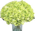 6Pcs 18" Green Silk Hydrangea Artificial Flowers by Blooming+Paradise