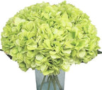6Pcs 18" Green Silk Hydrangea Artificial Flowers by Blooming+Paradise