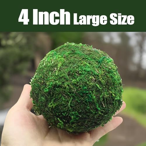 Qingbei Rina Large Green Moss Balls Decorative(4"-Set of 6) - Image 2