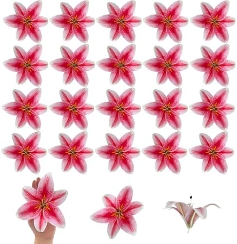 20PCS 6" Large Fake Lily Flower Heads, Realistic Stamens Artificial Flowers for Crafts Cake Wedding Decor (Dark Pink) by SOFTKIDS