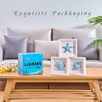 LODOCAVE Blue Seashell Starfish Coastal Wall Decor, 6.3"x6.3" - Image 3