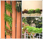 Artificial Hanging Vines, 10 Pack Fake Ivy Weeping Willow Greenery Leaves Plastic Plants Faux Garland Vine UV Resistant for Indoor Outdoor Garden Door Wall Baskets Wedding Party Decoration - Red - Image 5