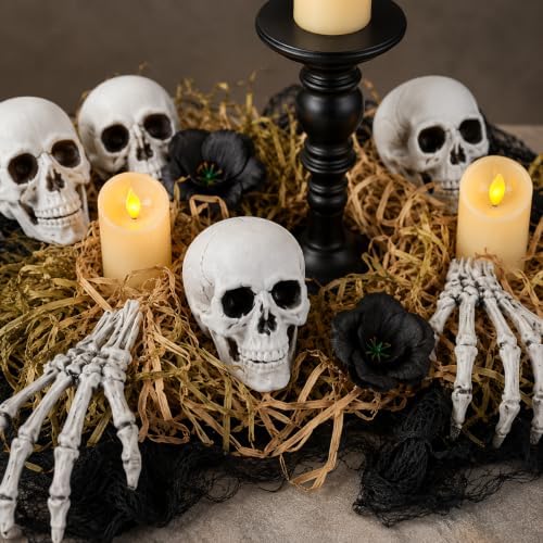 Resin Skull Set - Image 5