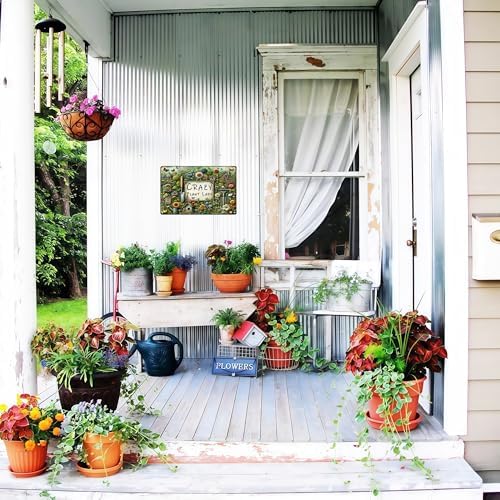 Bestylez Garden Gifts Vintage Gardening Signs Crazy Plant Lady Metal Sign for Home Garden Greenhouse Living Room Bedroom Yard Outdoor Decor 8X12 Inch (3359) - Image 4