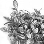 CATTREE Artificial Silver Leaves Christmas Plants 4 Pack, Plastic Leaf Bouquet Faux Gold Plant Fake Shrubs Simulation Bushes for Wedding Hall Table Centerpieces Floral Arrangement Filler DIY Décor - Image 6