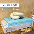 MESMOS Decorative Books for Shelves, Coffee Table Decor Faux Books for Decoration, Works as a Hidden Storage Box, Magnetic Closure, Linen Texture, Packaged in Aesthetic Fake Book (Travel & Wanderlust) - Image 6