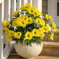 Yellow Artificial Morning Glory Flowers for Outdoor Planters, Premium UV Resistant Silk Faux Flowers for Porch, Hanging Basket & Window Box, Spring Garden Decor, No Pot, 13.3 Inch, 4 Bundles by UqueetenLtd