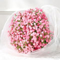 Dolicer 10 Pcs Babys Breath Artificial Flowers Pink Fake Babys Breath by DolicerLANDSCAPEQ