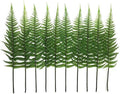 CATTREE Artificial Shrubs Leaves, Plastic Plants Fern Grass Leaf Fake Bushes Indoor Outdoor Garden Office Table Centerpieces Arrangements DIY Wreath Decoration Planter Filler - 10 Pack by CATTREE