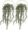 Pretty Jolly Boho Succulent Wall Decor Gold Metal Wall-Mounted Art by PrettyJolly