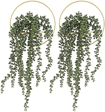 Pretty Jolly Boho Succulent Wall Decor Gold Metal Wall-Mounted Art by PrettyJolly