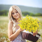 N&T NIETING 24Pcs Babys Breath Artificial Flowers Bulk, Yellow - Image 7