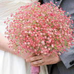 N&T NIETING 24Pcs Babys Breath Artificial Flowers Bulk, Pink - Image 3