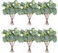 ZeKonan 40 Pcs Artificial Eucalyptus Stems with White Seeds Plants 11" Fake Eucalyptus Leaves Branches Faux Greenery Stems for Floral Arrangement DIY Bouquets, Wedding Table Vase Home Decor by Zekonan