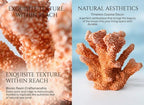 Resin Coral Sculpture, 7.1-Inch Coastal Home Decor - Image 2