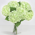 6Pcs Real Touch Hydrangea Artificial Flowers, 21" Fake Flowers, Light Green by Yastouay