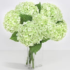 6Pcs Real Touch Hydrangea Artificial Flowers, 21" Fake Flowers, Light Green by Yastouay