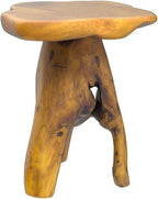 Small Side Table, Unique Design Live Edge Wood Stool, Freeform Natural Plant - Image 4