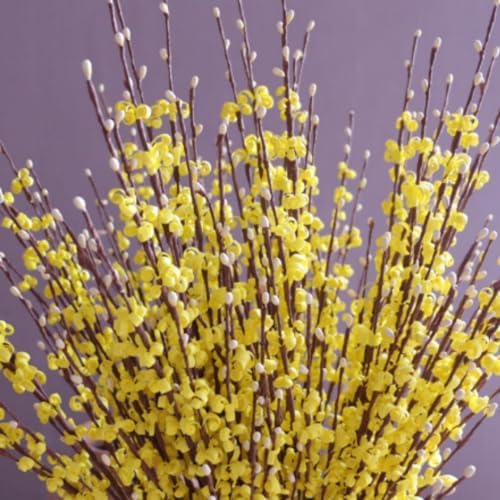OUKEYI 8 Pcs 29.5“ Long Artificial Jasmine Flowers Tall Fake Flower Bouquet Faux Jasmine Plants Dry Branches for Wedding Home Party Office Party DIY Decor (Yellow), OUKEYI-100882 - Image 3
