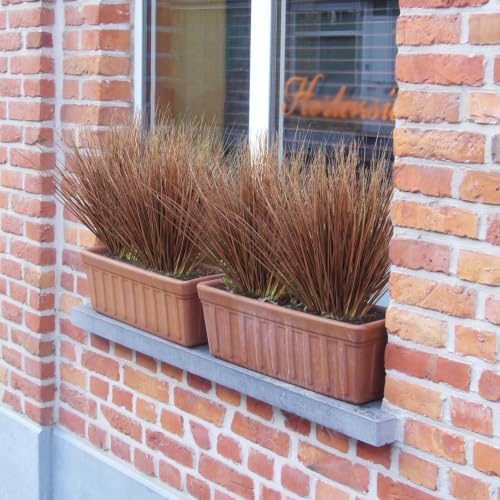 20Pcs Artificial Onion Grass Fake UV Resistant Outdoor Shrubs Plants Flowers Greenery Stems Faux Wheat Grass for Garden Window Box Porch Decor Home Red - Image 4