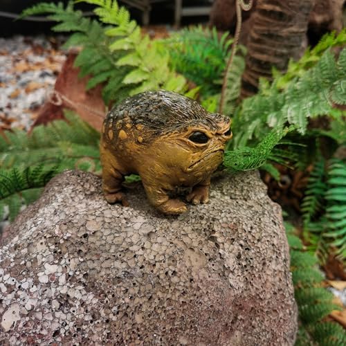 MOLMH Weird Queer Grumpy Frog Toad Statue Ugly Angry Outdoor Garden Yard Decor Statue Fun Novelty Home Office Decor Sculpture Unique Gift - Image 3