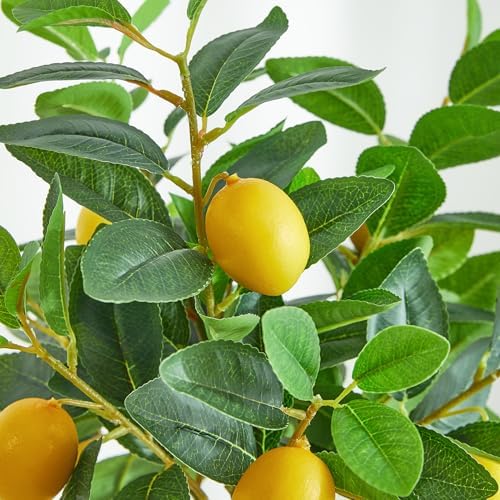 Heleze 3 Pcs Artificial Lemons Tree Branches - Faux Greenery Stems Realistic Lemon Branch with Lifelike Leaves Fake Lemon Plant for Home, Dining Table, Kitchen Decor 18 Inch - Image 5