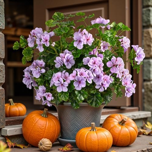 Artificial Geraniums for Outdoors, 8 Stems 17.7 Inch Purple Faux Geranium Bush Fake Flowers UV Resistant Fall Porch Patio Garden Planter Window Box Indoor Decor, Pot Not Included - Image 6