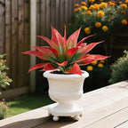Artificial Agave Faux Agave Fake Greenery 18In Outdoor Artificial Plant Fake Plant for Indoor Home Decoration Plastic Plant Outdoor Decoration Front Porch Decor Simulation Plants 2Pack（Red） - Image 5