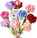 10 Pcs Hand-woven Carnations, Crochet Carnation Flower Bouquet, Multicolor by JOONOR