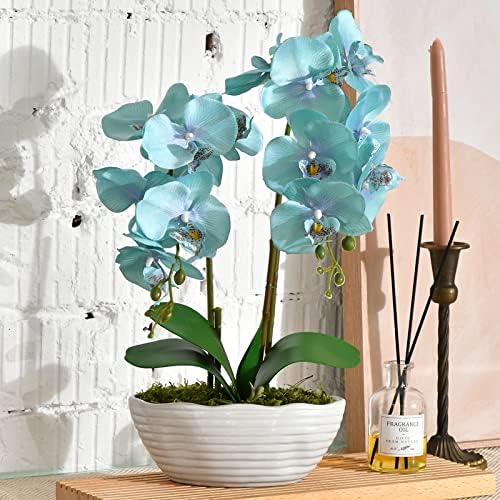 Large Artificial Orchid Arrangement in Oval Ribbed Ceramic Pot, Golden Blue by YSZL