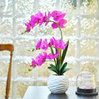 Artificial Large Real Touch Orchid Flowers with White Ceramic Vase, Fuchsia - Image 4