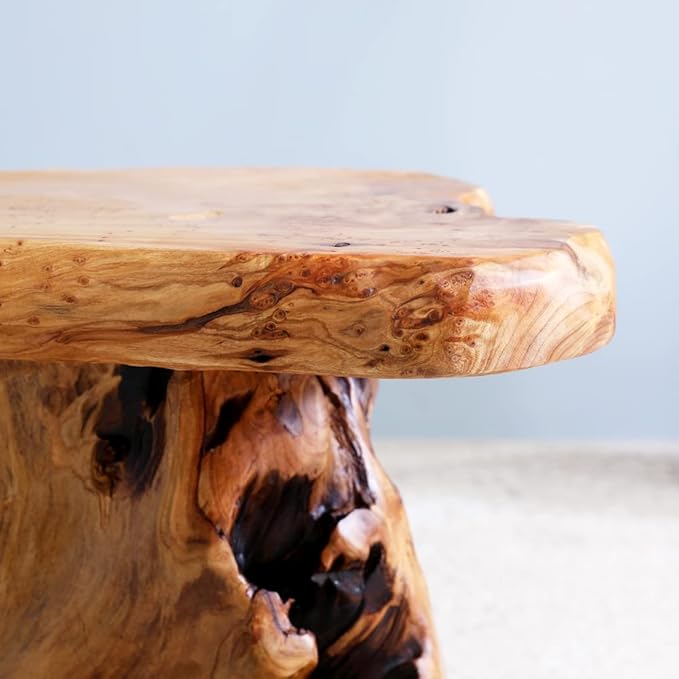 13.8" Cedar Stump Stool, Natural Wooden Side Table, Plant Stool, Live Edge - Image 6