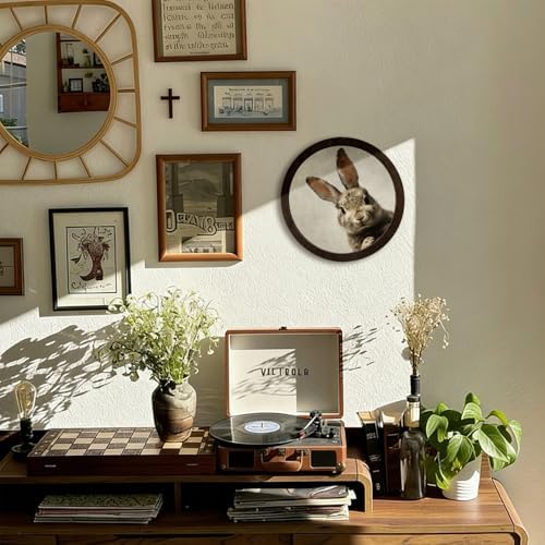 CFFJLHN Vintage Easter Bunny Wall Art Decor, Neutral Farmhouse Spring Cottage Easter Rabbit Bunny Round Hanging Wall Decor for Home Bedroom Living Room, 10x10 Inch - Image 3