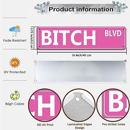 Retro Pink Tin Metal Sign - 'BITCH BLVD' - Bold Statement Decor for Home, Bar, or Dorm - 16x4 Inches - Unique Gift Idea for Friends(B71) - Image 3