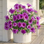 Purple Artificial Morning Glory Flowers for Outdoor Planters, Premium UV Resistant Silk Faux Flowers for Porch, Hanging Basket & Window Box, Cottage Garden Decor, No Pot, 13.3 Inch, 4 Bundles by UqueetenLtd