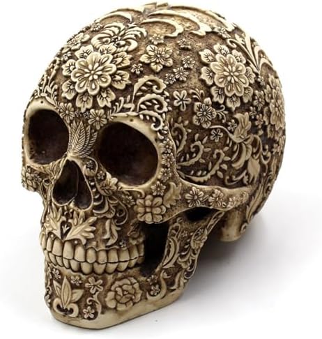 Life Size Plastic Skull - Skeleton Head Prop for Halloween Haunted House by Stacknovo