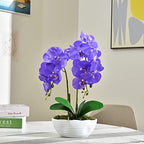 Large Artificial Orchid Arrangement in Oval Ribbed Ceramic Pot, Purple - Image 4