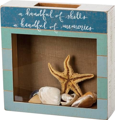 Primitives by Kathy Seashell Holder - Coastal Decor, Glass Display, Treasure Chest, Room and Bedroom Decor by PrimitivesbyKathy