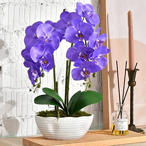 Large Artificial Orchid Arrangement in Oval Ribbed Ceramic Pot, Purple by YSZL
