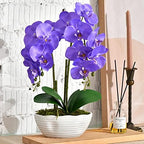 Large Artificial Orchid Arrangement in Oval Ribbed Ceramic Pot, Purple by YSZL