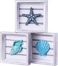 LODOCAVE Seashell Starfish 3D Art Beach Wall Decor, 6.3"x6.3" by LODOCAVE